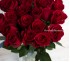 Букет из красных роз (25 шт)